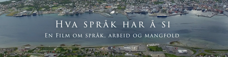 Hva språk har å si?